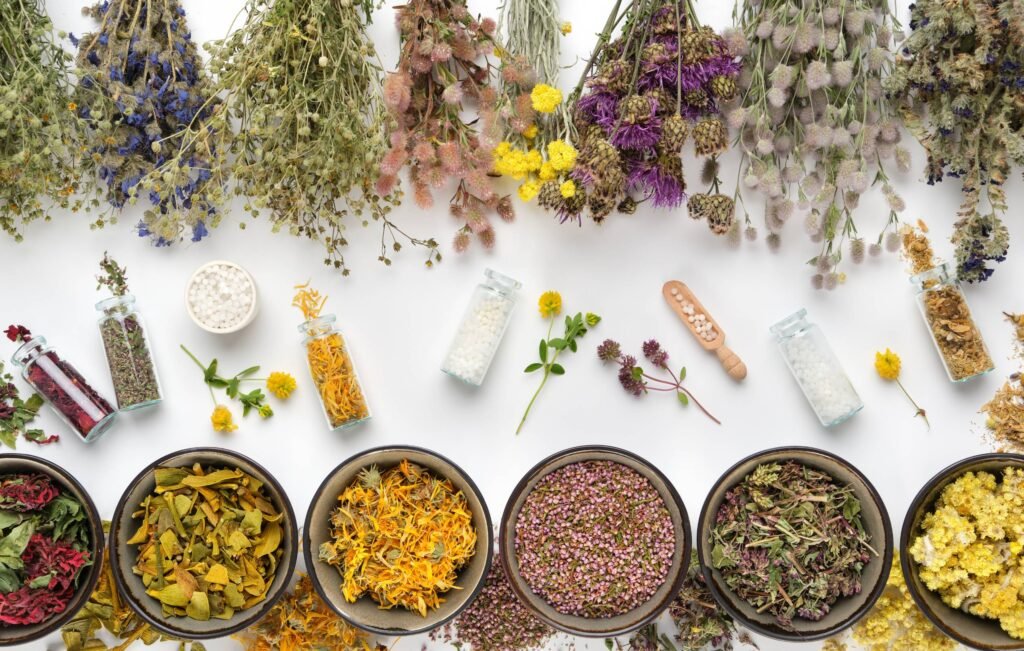 Site-internet-PDEV-12-1 Plant-based beauty products with green foliage backdrop